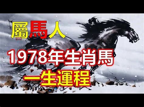 1978屬馬女2023年運勢換工作|屬馬女2023事業轉機